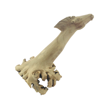 29a78150 3ed6 491d af5e e75a2498d4c2