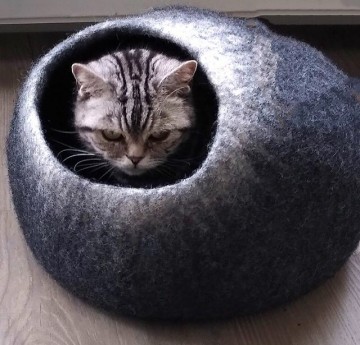 4731c756 77b5 49de 9b7d e3f9d4ff5eb9