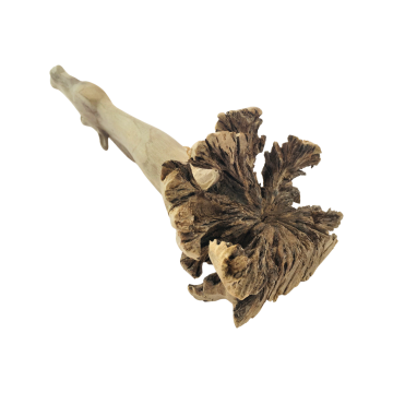 Acabf040 b2a8 4ebb 837f f1b8b7ee98f8