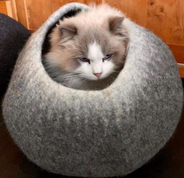 Ef56b230 27ad 43f1 bddc 3a5ff60a681a