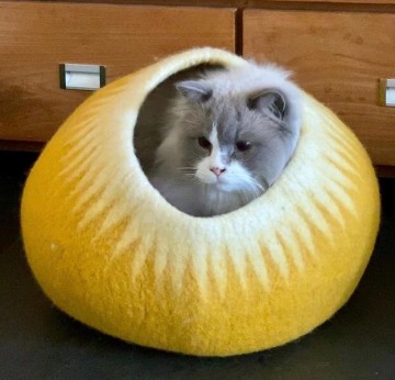 F7f6c1cb bae9 4b46 8c0b 82f49933c74c