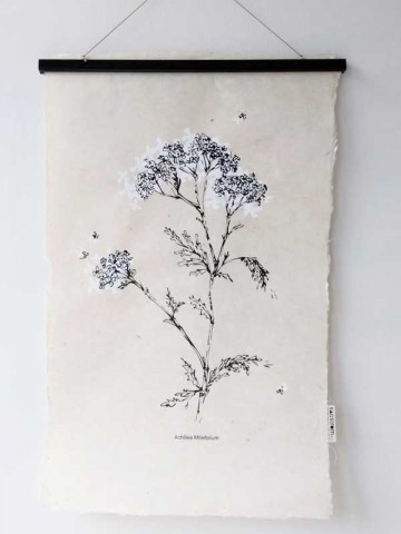 White flower 50 x 70 cm 600 x 800 1