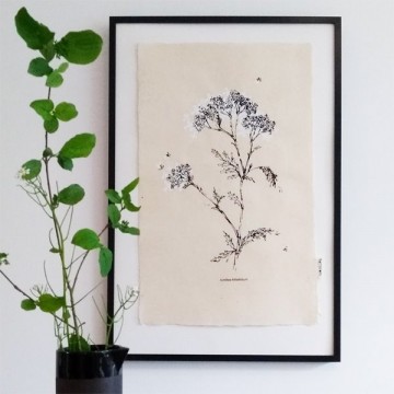 White flower 50 x 70 may 600 x 600sample